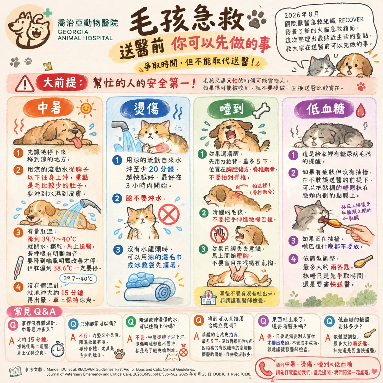 毛孩急救指南：送醫前的關鍵處置，說明中暑、燙傷、噎到及低血糖的送醫前照護