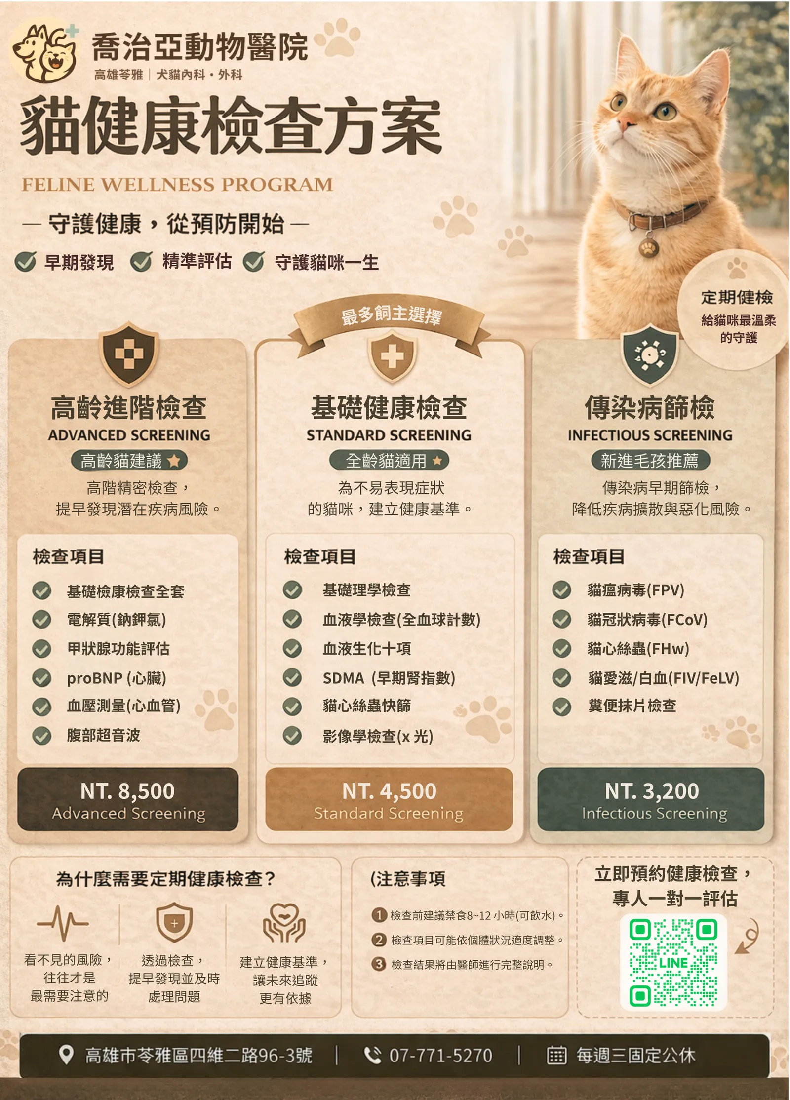 貓健檢宣傳海報，右側橘貓戴項圈抬頭；左上寫「喬治亞動物醫院」「貓健康檢查方案」，列基礎/高齡/傳染病篩檢、NT$價格與QR碼。
