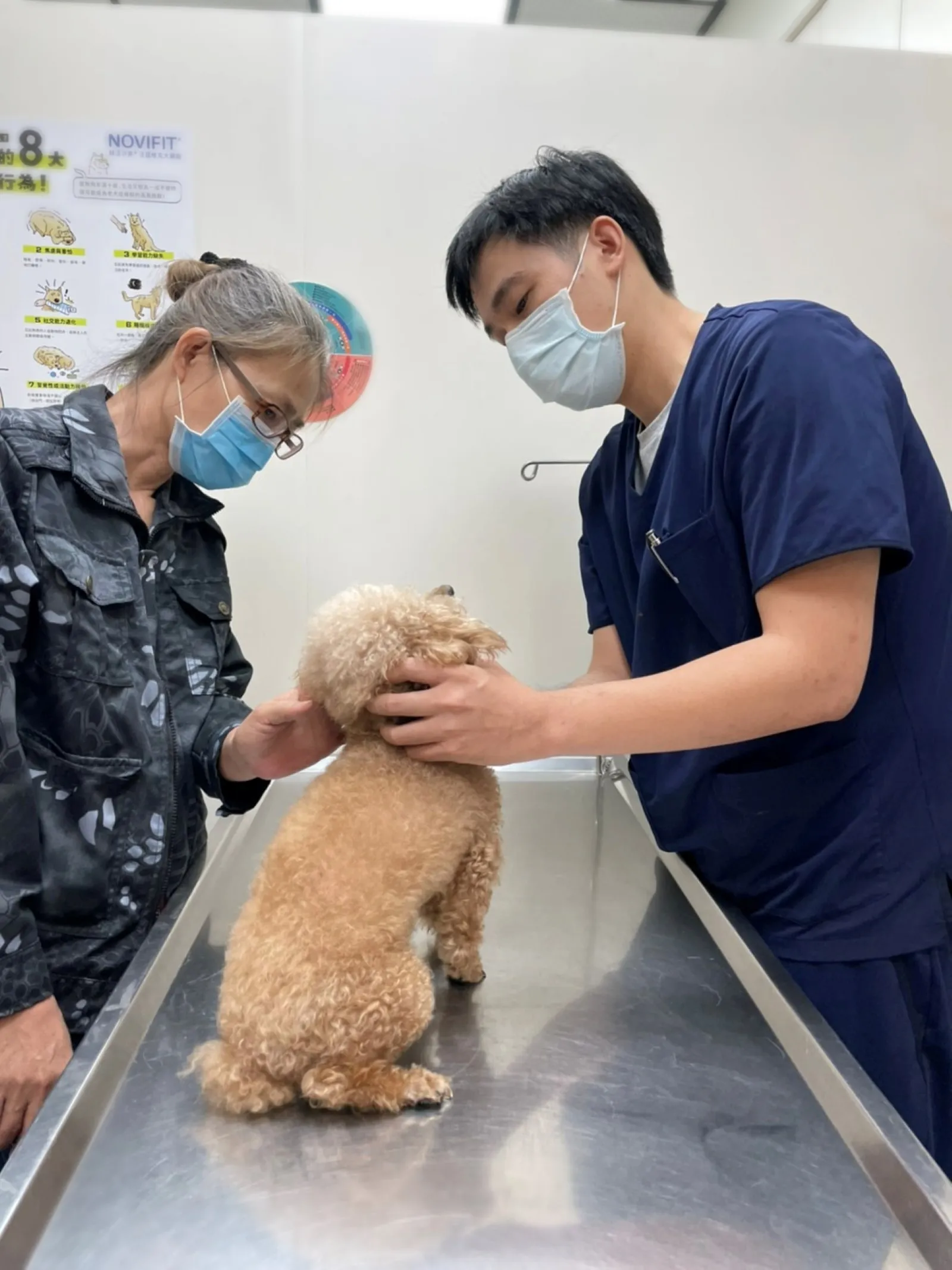 宋醫師與飼主一起照護犬隻的看診情境