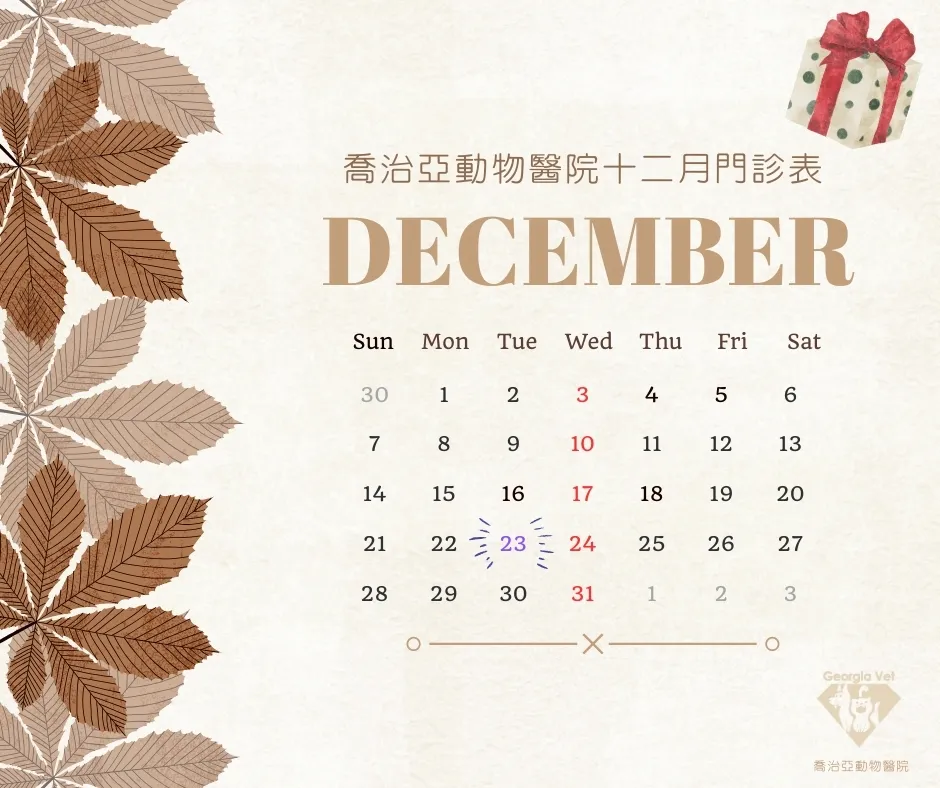 【公告】12 月門診表：原公告圖片