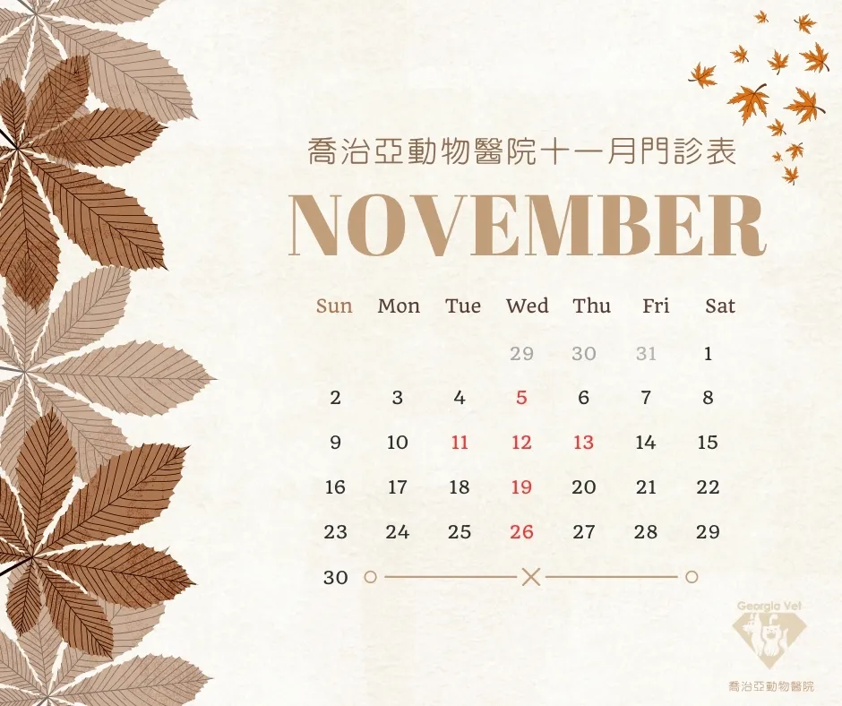 【公告】11 月份門診表：原公告圖片