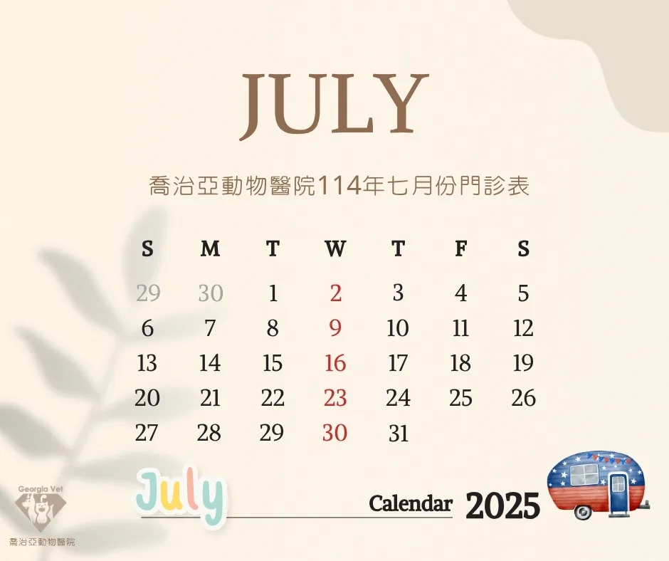 【公告】七月份門診表：原公告圖片