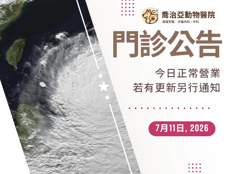 【📢 颱風公告|喬治亞動物醫院正常營業】:原公告圖片