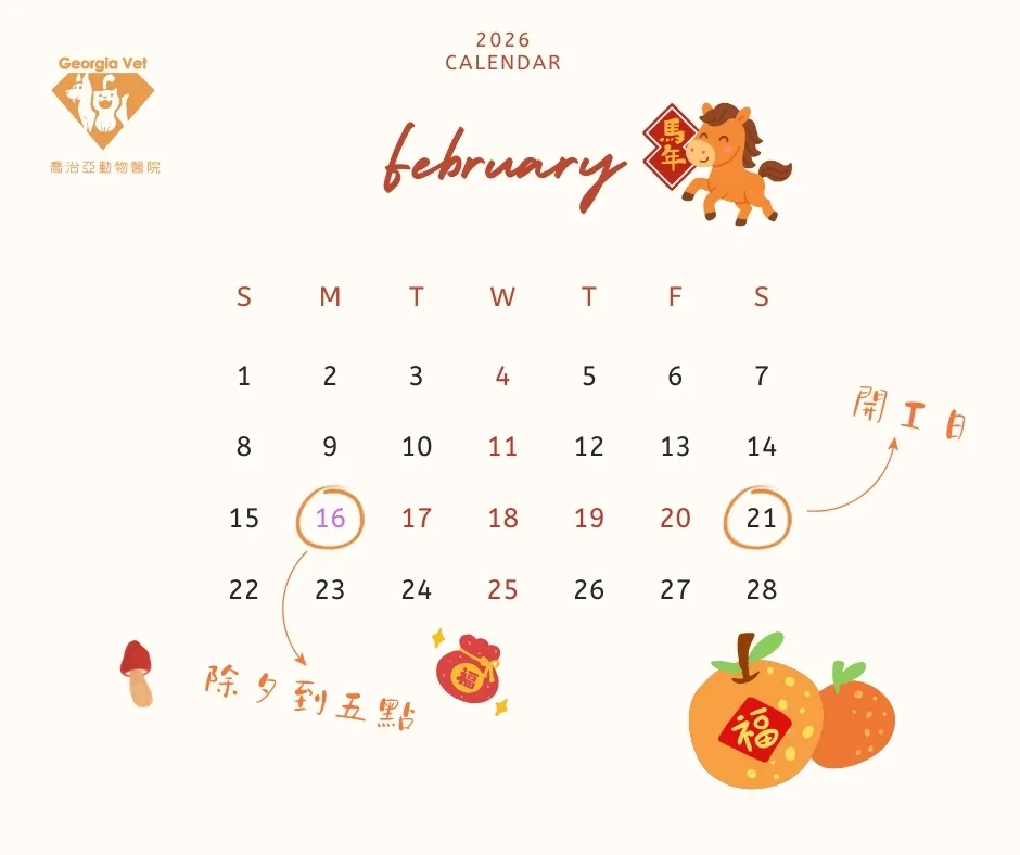 【公告】二月份門診表：原公告圖片