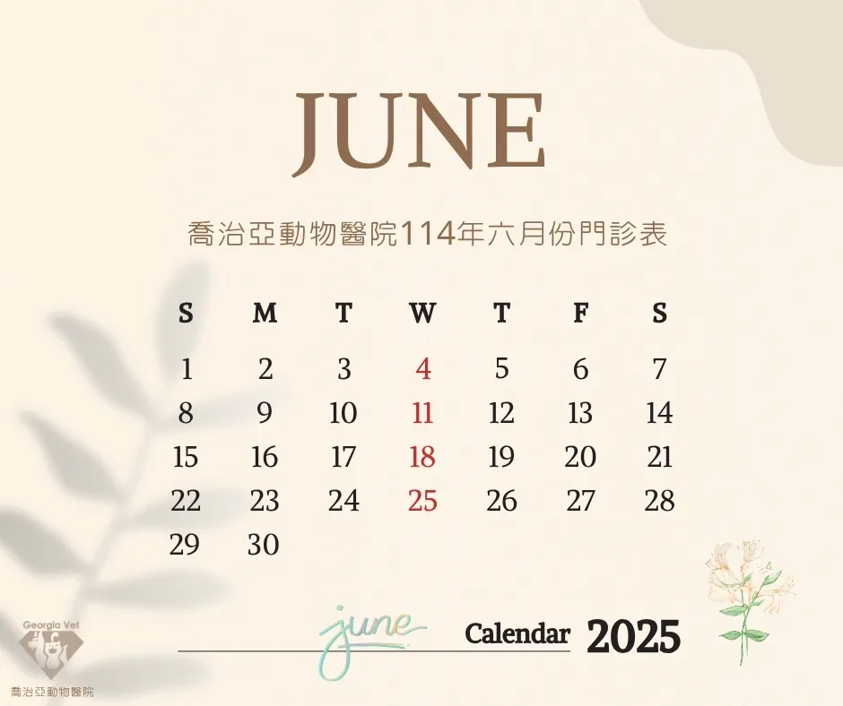 【公告】六月門診表：原公告圖片