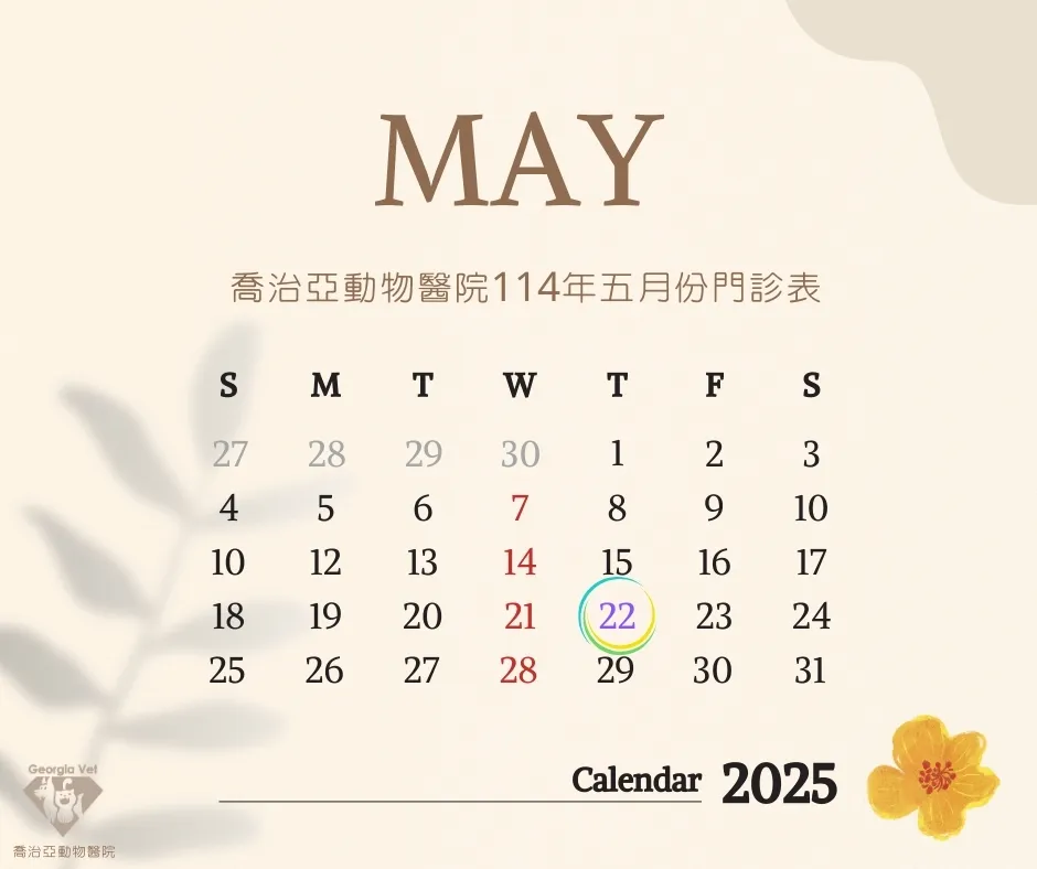 【公告】五月份門診表：原公告圖片